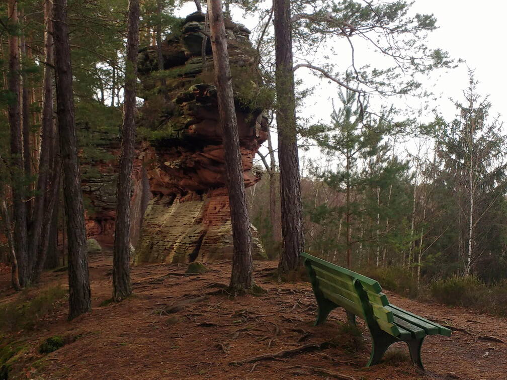 IMG 20190116 133826006